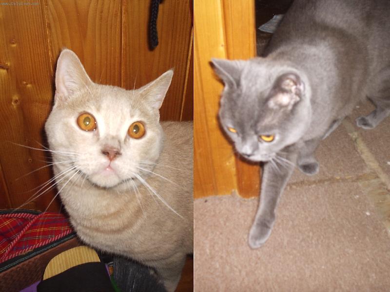 Foto: baf-hra na skovávanou