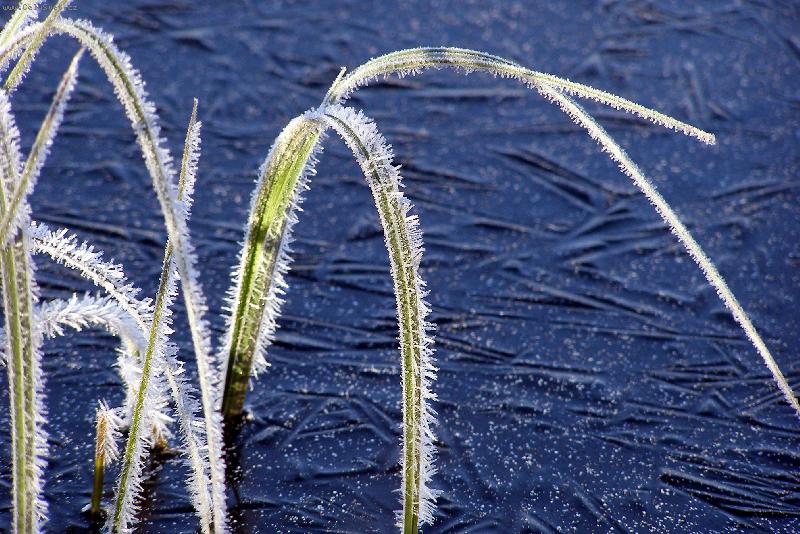 Foto: Zima-led a námraza