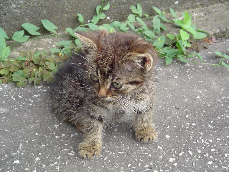 Foto: ČO JE TO TAM???????????????