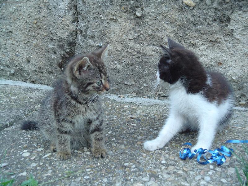 Foto: Očom sa rozprávate?