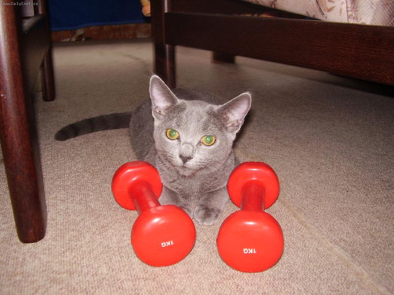 Foto: Filinka posiluje-Filinka :-)