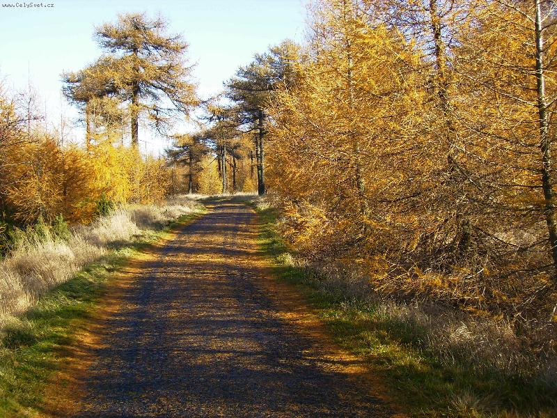 Foto: podzim na Děčínském Sněžníku