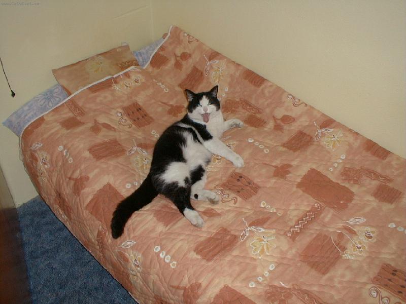 Foto: Nesměj se mi