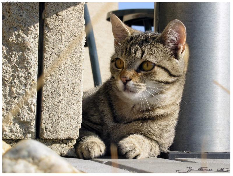 Foto: DOKONALÉ ZAUJETÍ