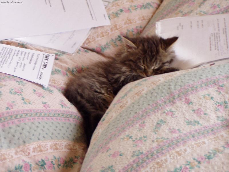 Foto: Učící se Mourina