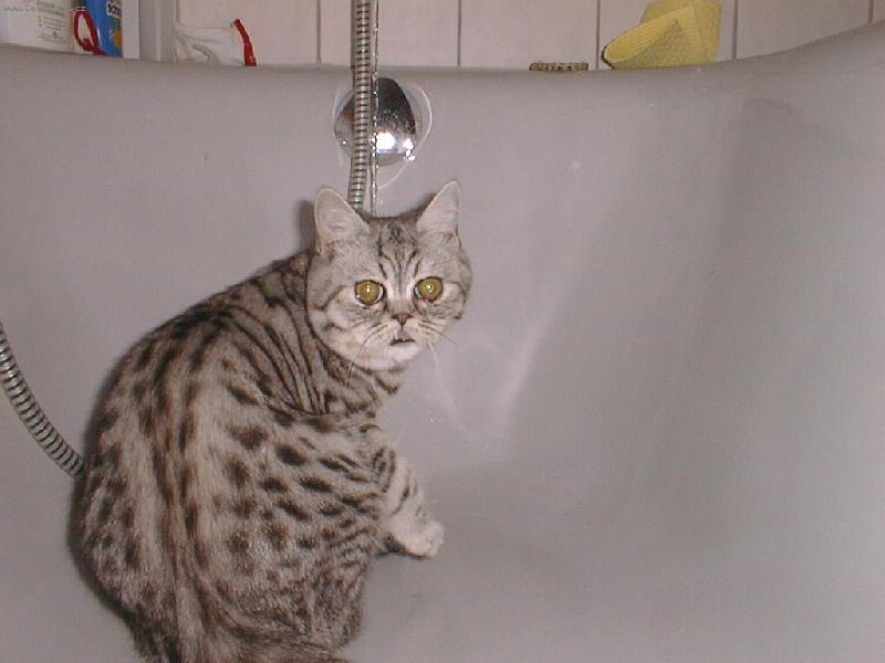 Foto: Lucky-Lucky miláček