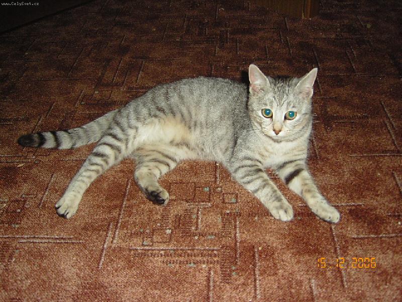 Foto: prosím nerušit