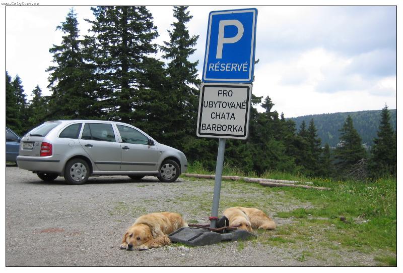 Foto: Reservé pro každého!