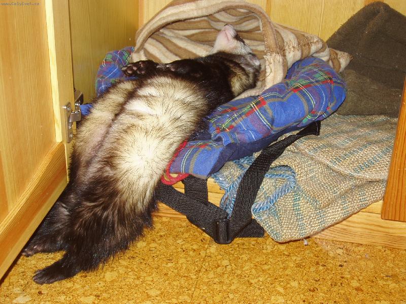 Foto: Spící Davídek-A co tahle poloha?