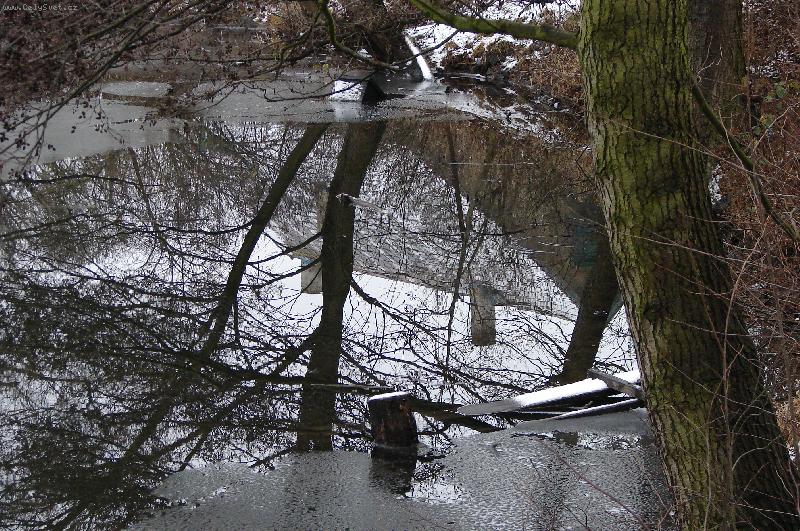 Foto: Zima u rybníka