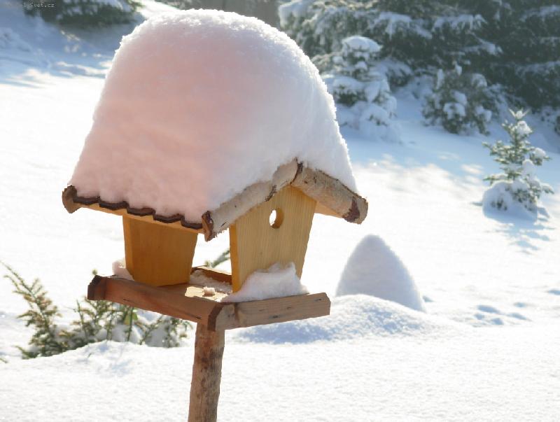 Foto: Uletěl\.\.ptáček-zobali ptáčci až vyzobali\.\.\.