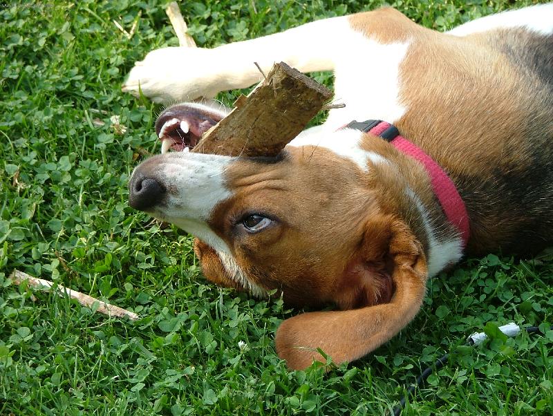 Foto: Bára-dostanu ho