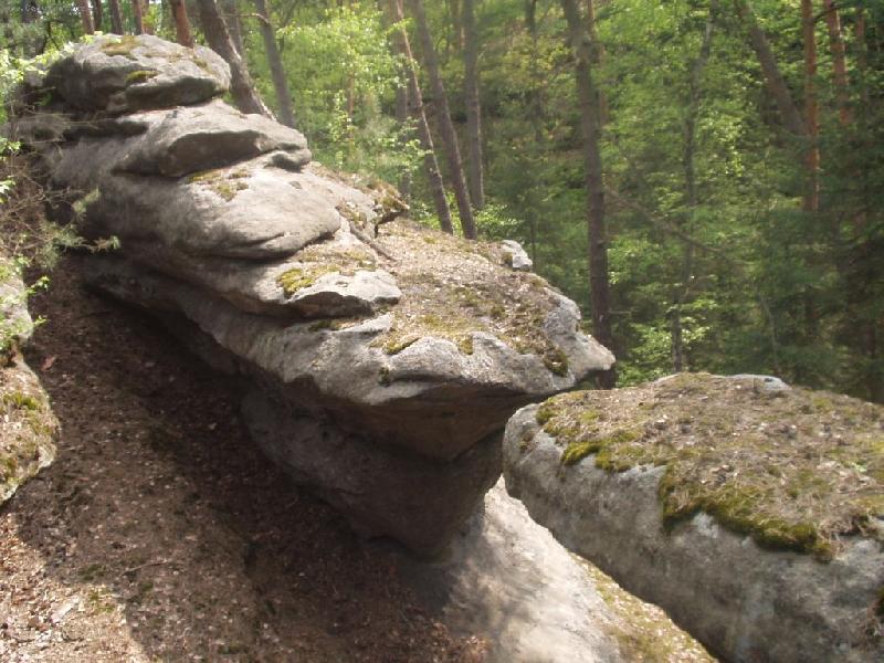 Foto: dva čumáčci