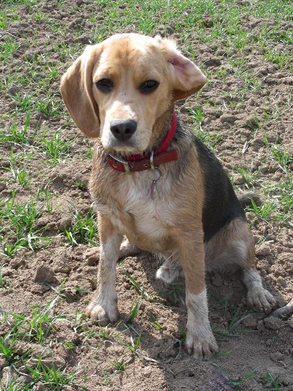 Foto: Po bahení lázni