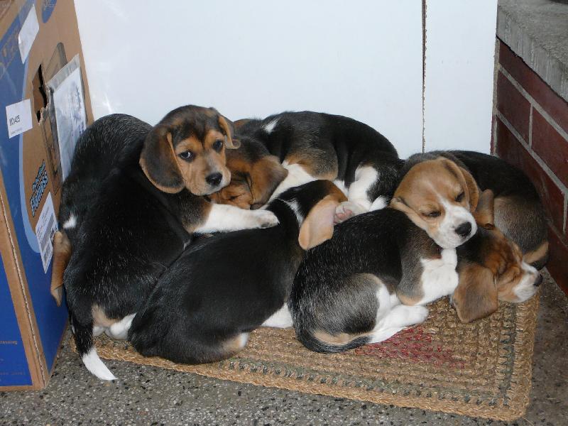 Foto: Valná hromada