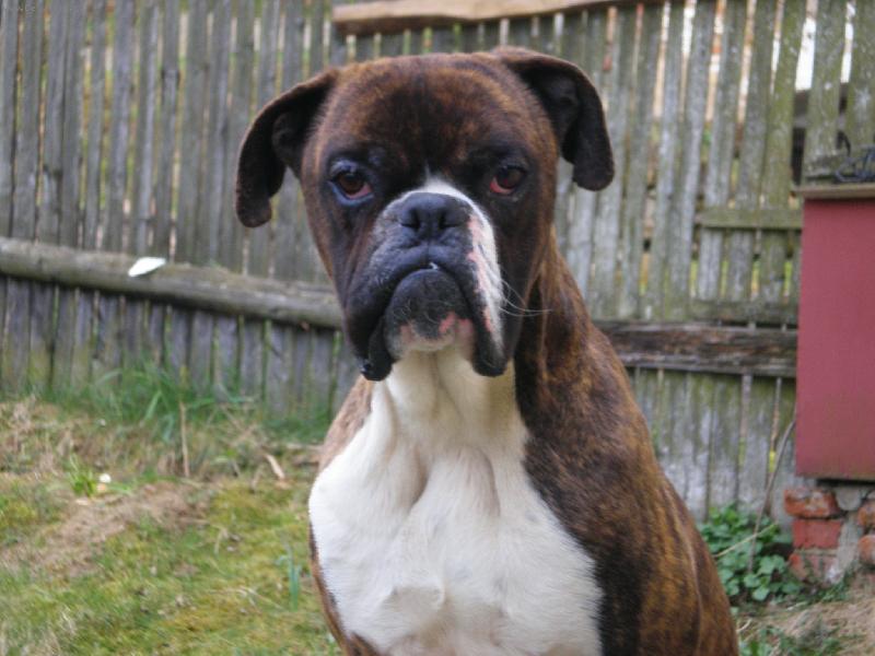 Foto: Líbím se ti???