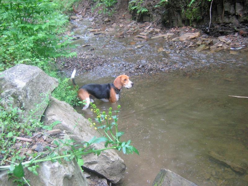 Foto: Pipsík-No co? Očista je očista!!!