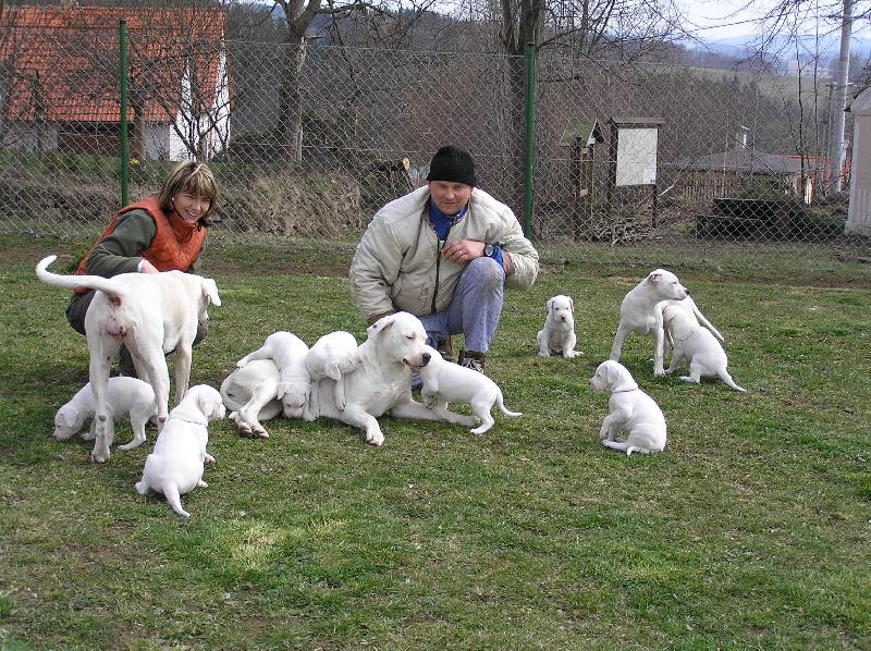Foto: bílé nadělení