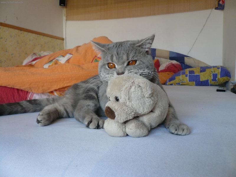 Foto: Maiky-Svého méďu nikomu nedám!!! :0)))