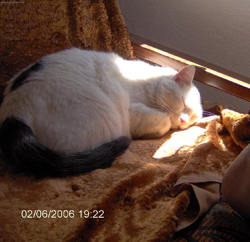 Foto: Jajda-od Vojtů u Pošty