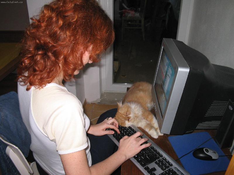 Foto: Puma-Asistent internetový