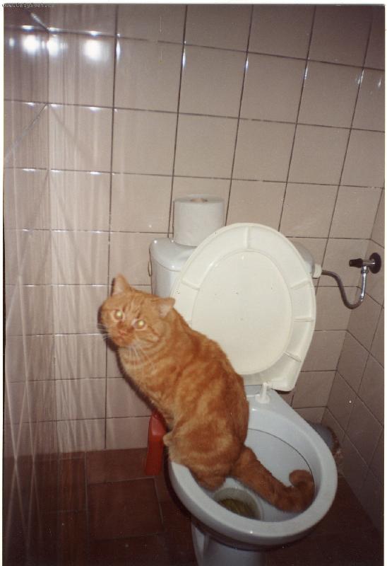 Foto: Damián slušňák-Nechci svým pánečkům přidělávat starosti, tak jsem se naučil chodit tam, co chodí oni.