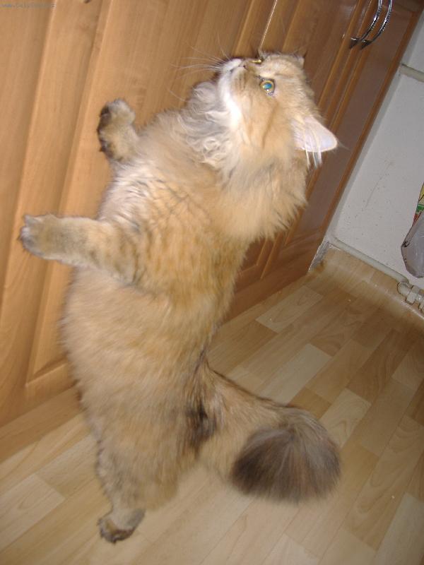 Foto: Dejte mi najíst !!!