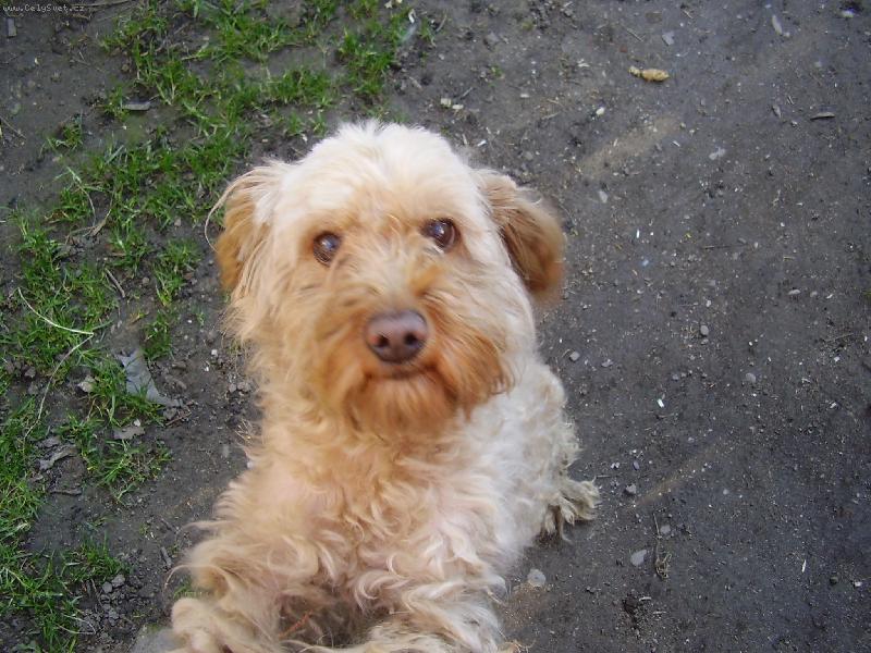 Foto: Riki-Pus mě prosím