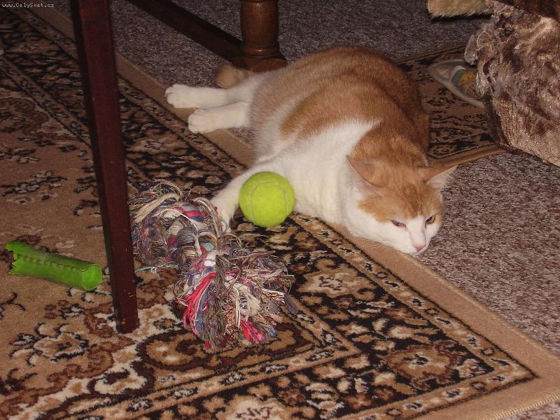 Foto: Mates-...to hraní, ale zmáhá!!!