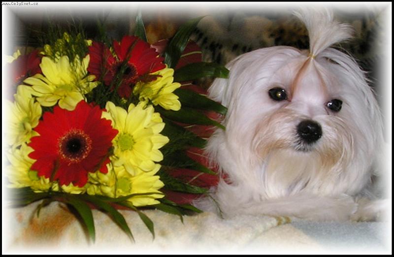 Foto: Lulda-Čulda Pleasure of friendship-4 měsíce :-))