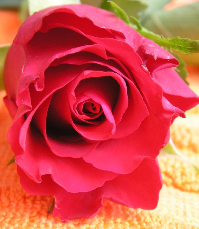 Foto: r��e