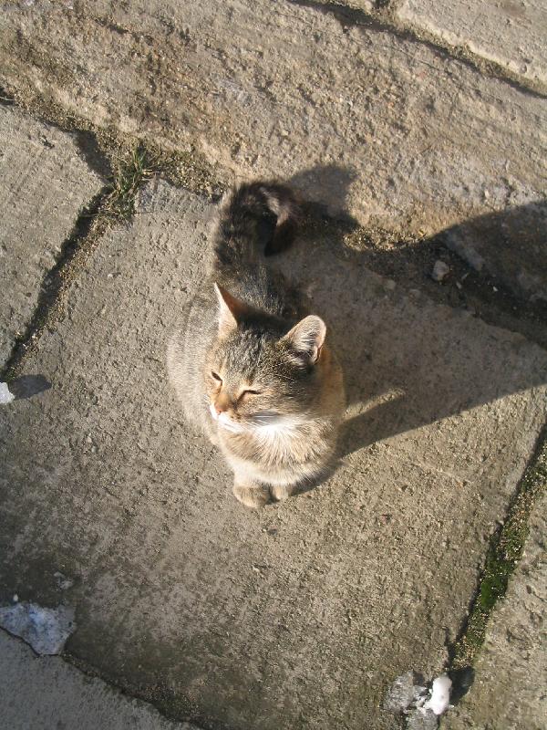 Foto: zimní sluníčko