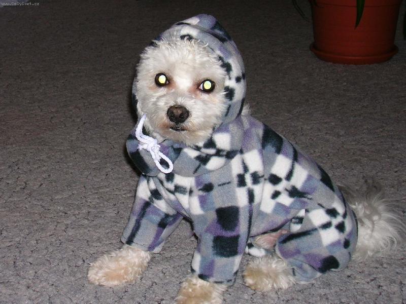 Foto: Na zimu jsem řádně vybaven.......