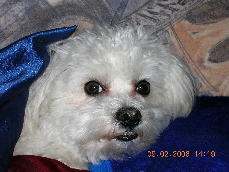 Foto: Nerušte mě od spánku....