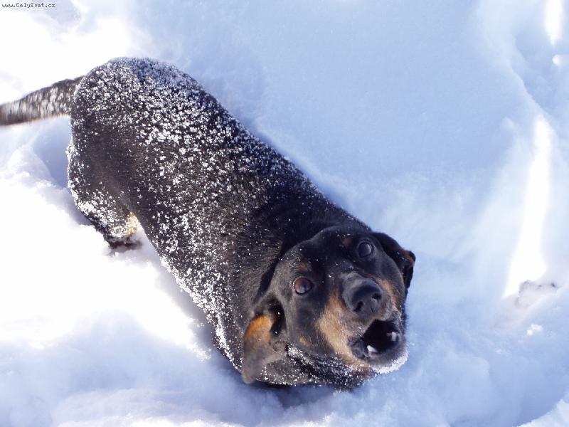 Foto: zimní radovánky-Žerik