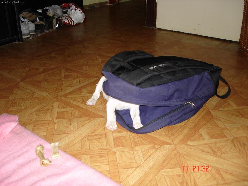 Foto: Batoh s nožičkama :o)