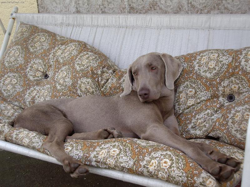 Foto: takhle spinkám