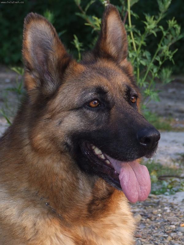 Foto: prtrét-Jeny Maserau