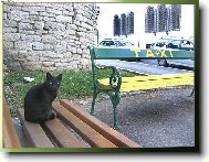 černý pasažer ...