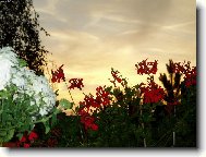 Západ slunce z balkonu