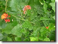 Tomu říkám poctivá práce