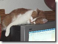 Unavený po serfování.