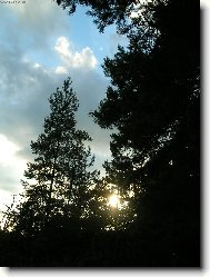 západ slunce v lese