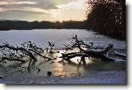 Soumrak na Novém rybníku