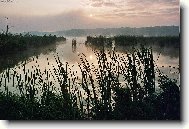 Mlhavé svítání v Poodří