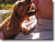 Já Tě kousnu........