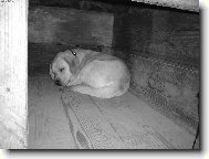 Spinkám...Tak dobrou