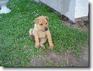 mimí......něco mě svědí....