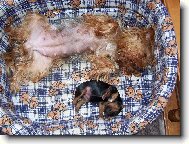 Společná siesta maminky a dcery :-)