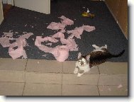 Tak tenhle toaletní papír ne!